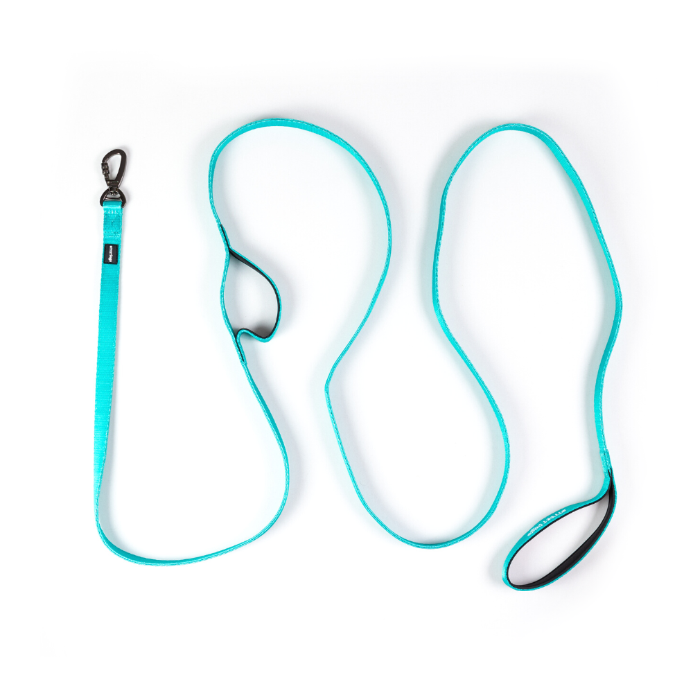 Correa Larga para Perros - Light | 3 mts | Turquoise