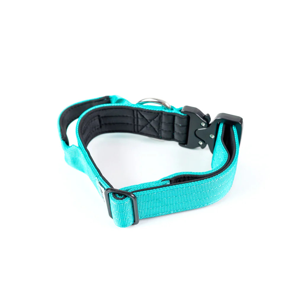 Collar Combat Turquesa 4 cm