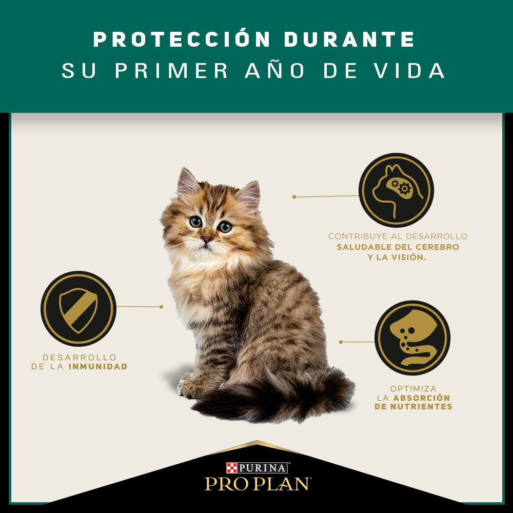 PROPLAN KITTEN 7,5 KG|Gatito