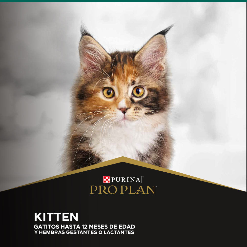 PROPLAN KITTEN 7,5 KG|Gatito