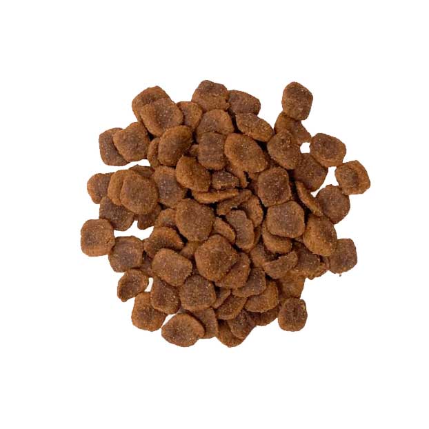 BRAVERY LAMB DOG ADULT |Perro Adulto Raza Mediana y Grande Cordero 12kg
