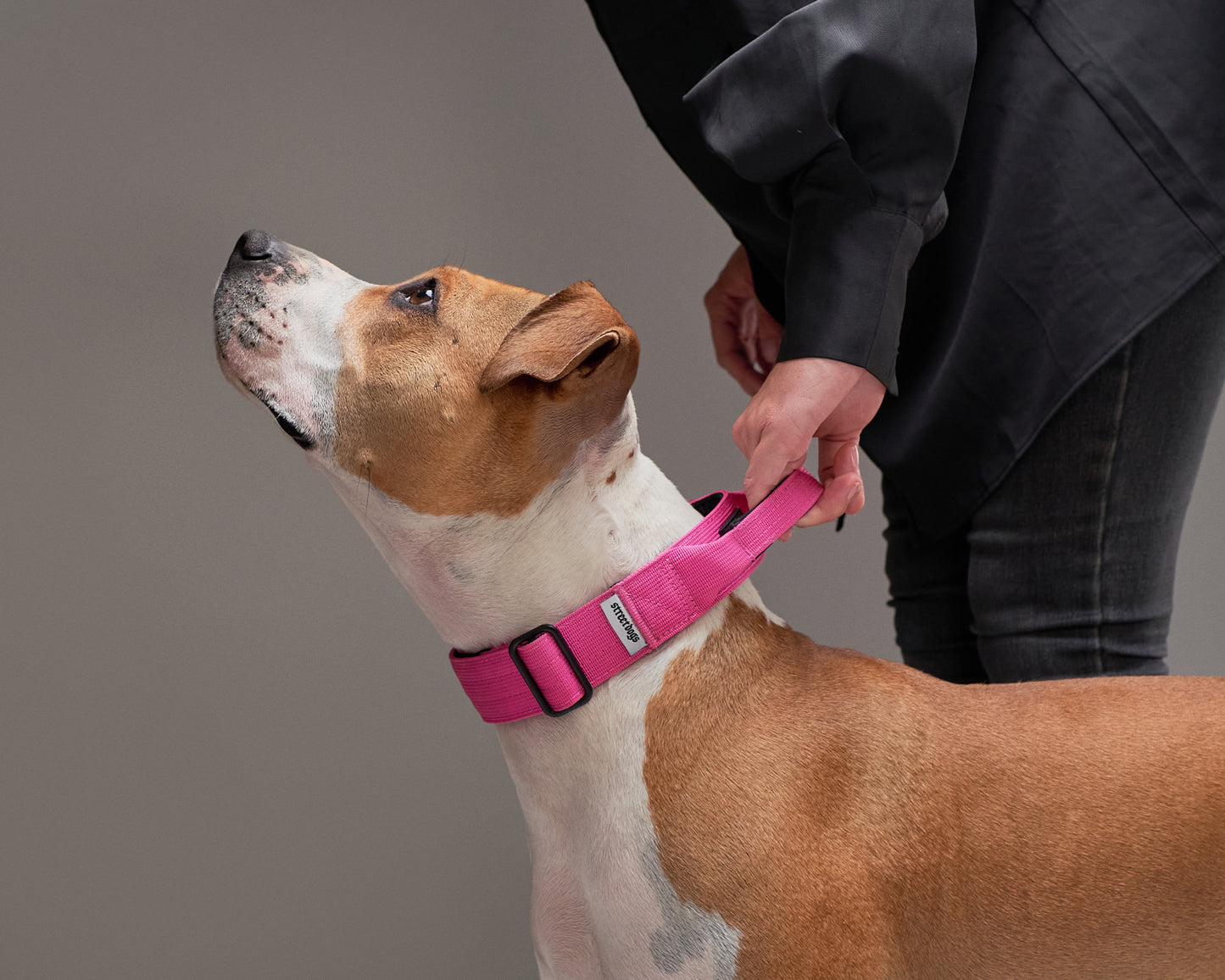 Collar Combat Pink 4 cm