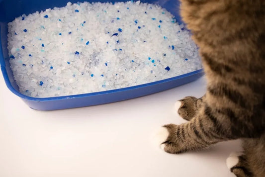 Arena Cristales Sanitarios Topk9 1,6 Kg Fresh