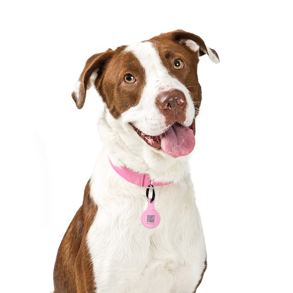Placa de Identificación Inteligente para Mascotas Colgante