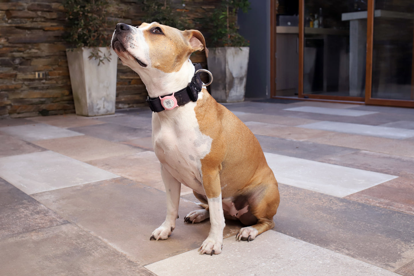 Placa de Identificación Inteligente para Mascotas - Sujetador de AirTag