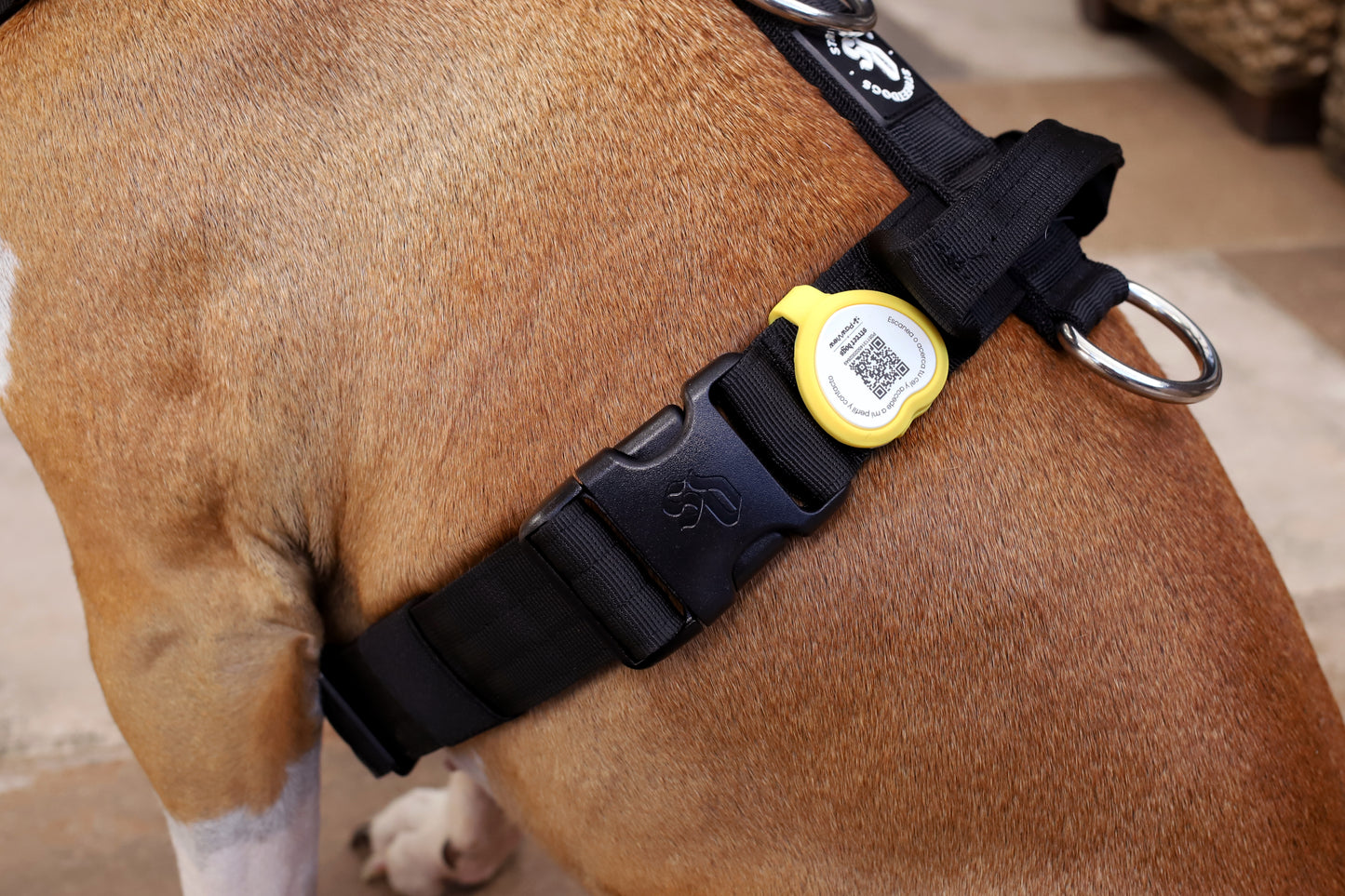 Placa de Identificación Inteligente para Mascotas - Anti Pérdida