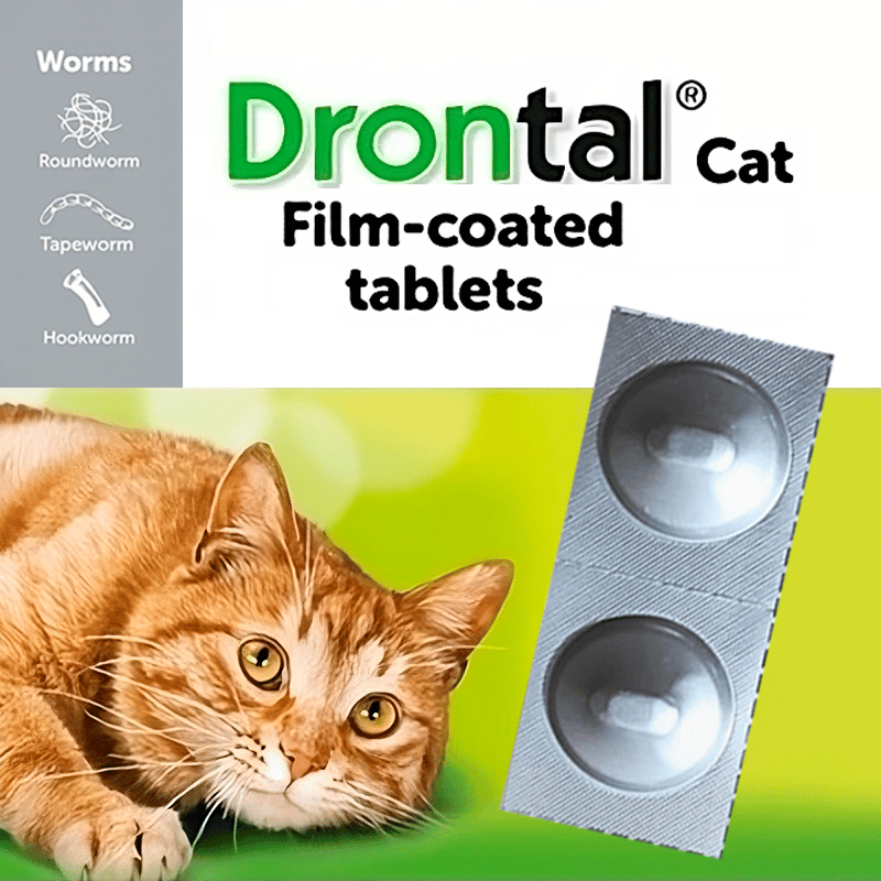 ANTIPARASITARIO GATO DRONTAL 1 COMPRIMIDO