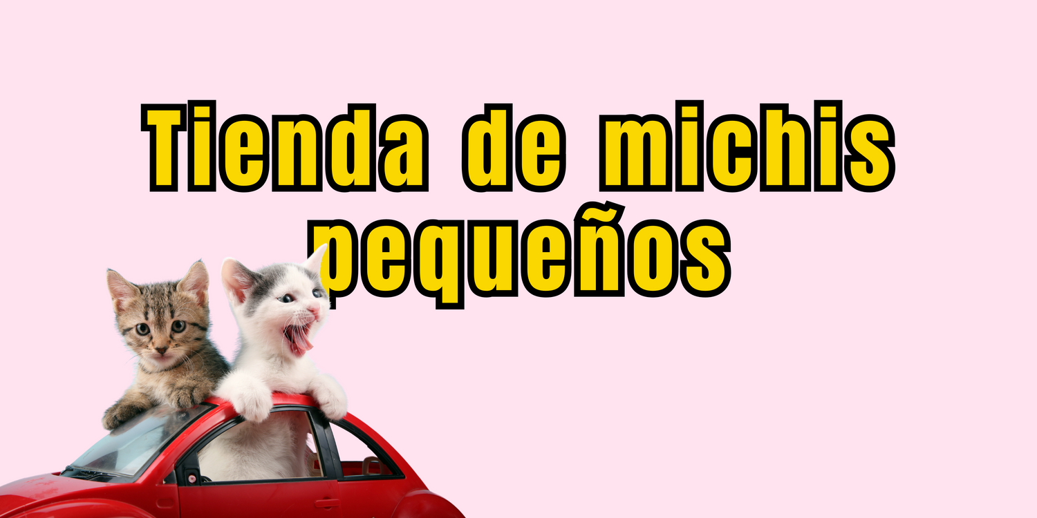 Todo para hacer feliz a tu Michi ❤️
