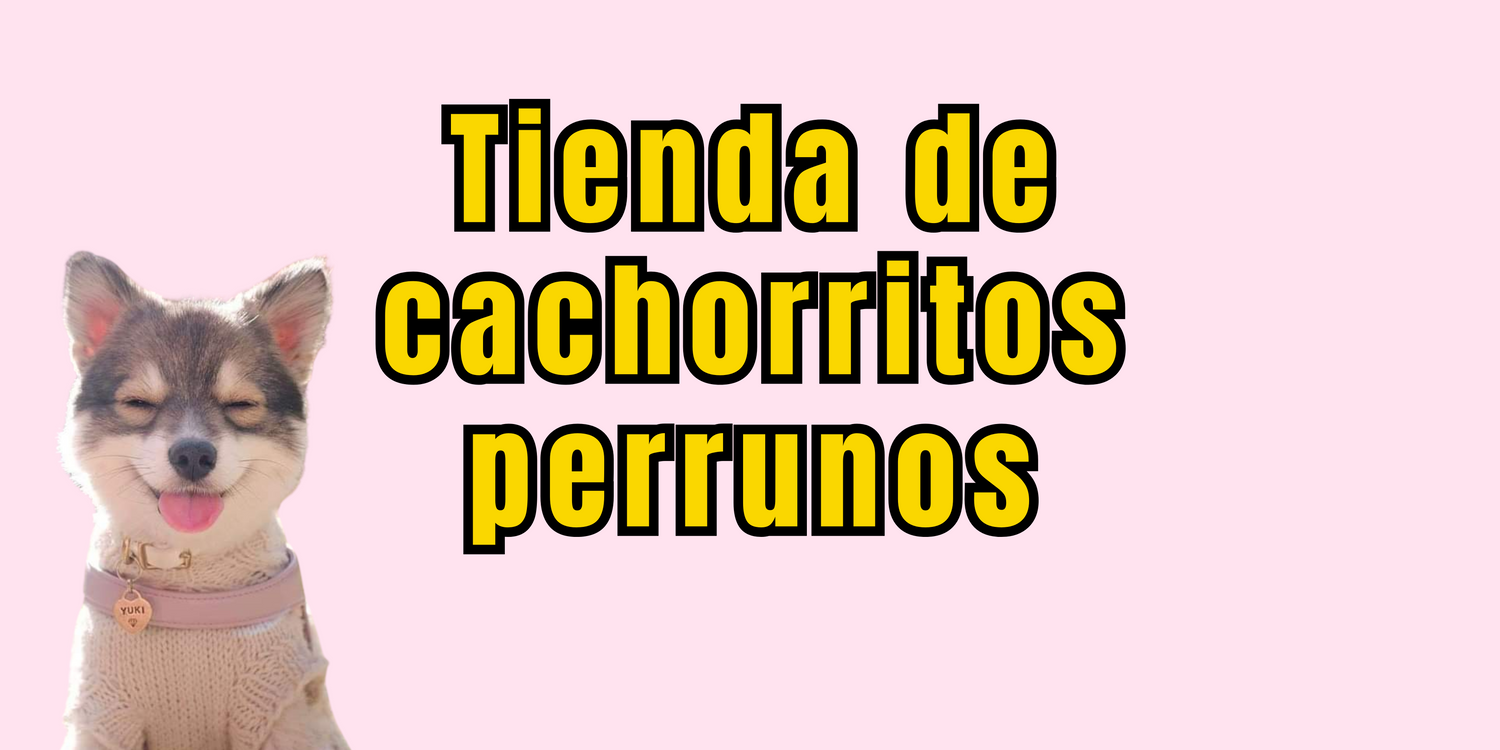 Todo para tu más fiel compañero 💖