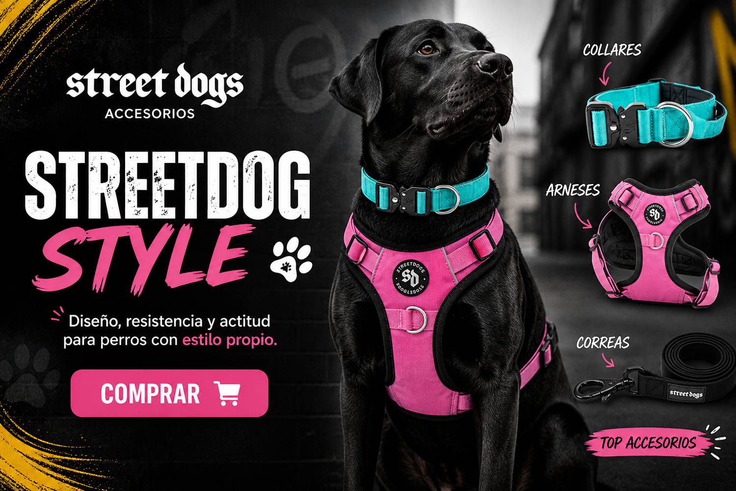 Street Dogs Chile | Arneses, Collares y Correas para Perros