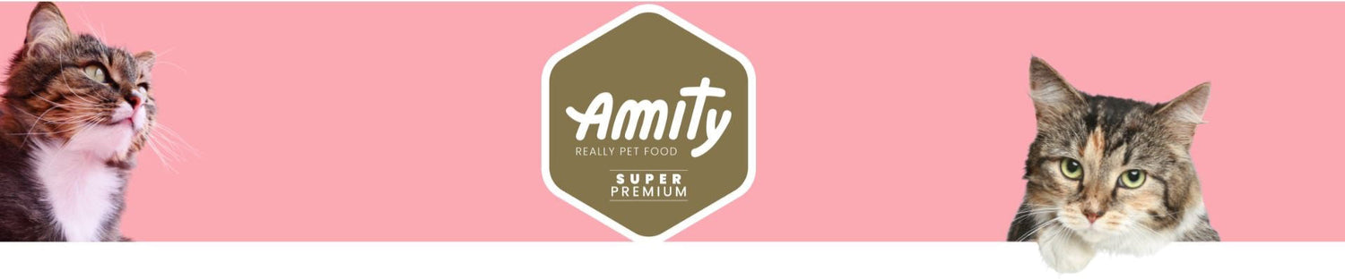 Amity Cat