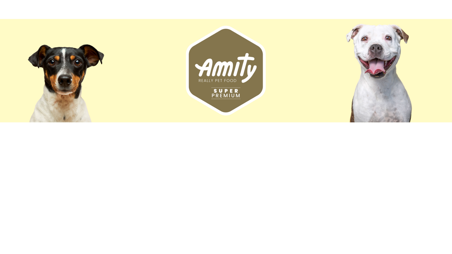 Amity dog
