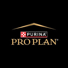 Pro Plan
