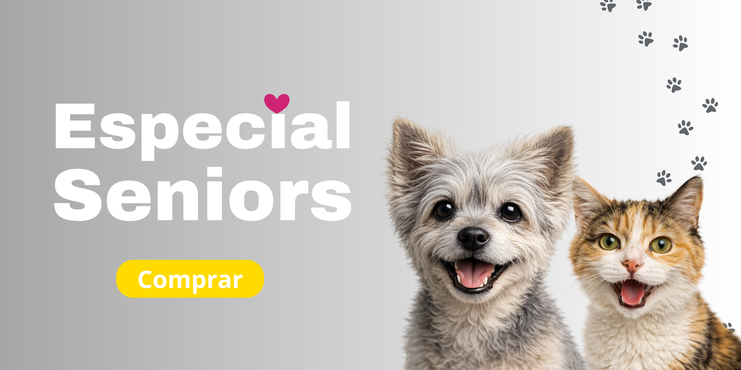 Senior Perro y Gato