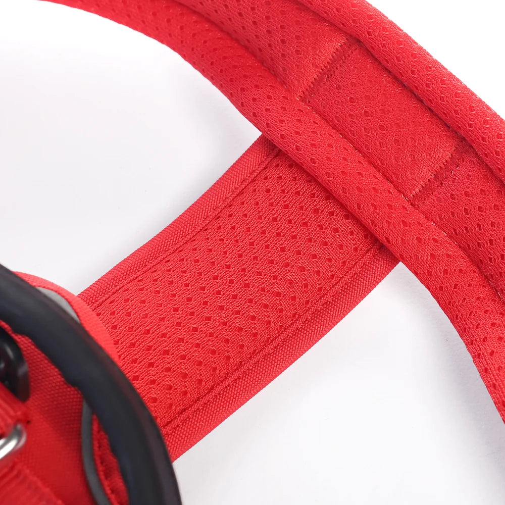 Arnés Aerosport para Perros - Street Dogs - Rojo