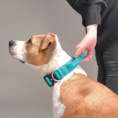 Collar Combat Turquesa 4 cm