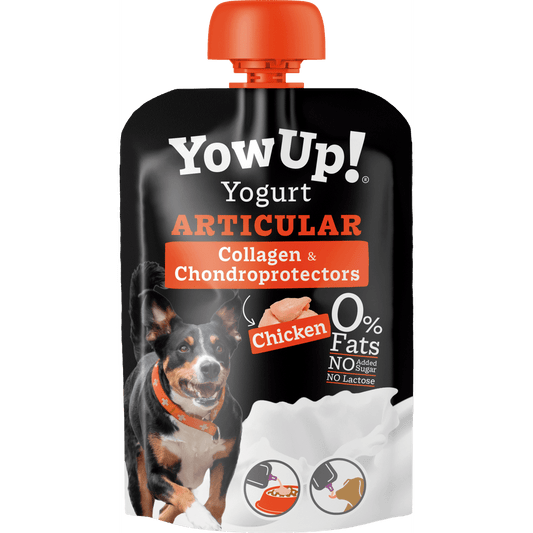 YowUp Yogurt Natural Articular Perro