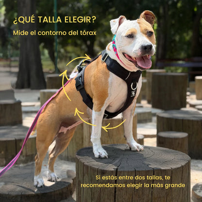 Arnés Aerosport para Perros - Street Dogs - Azul
