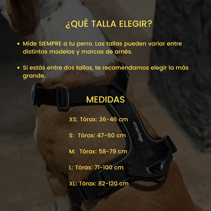 Arnés Aerosport para Perros - Street Dogs - Rosado