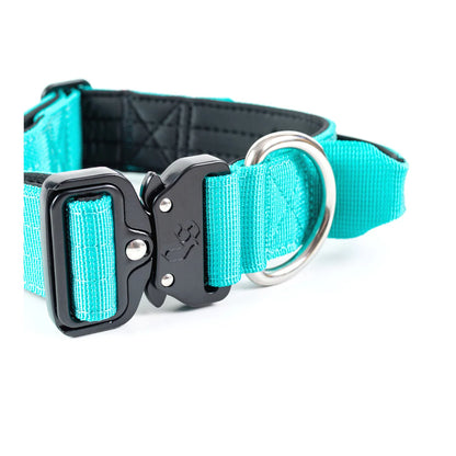 Collar Combat Turquesa 4 cm