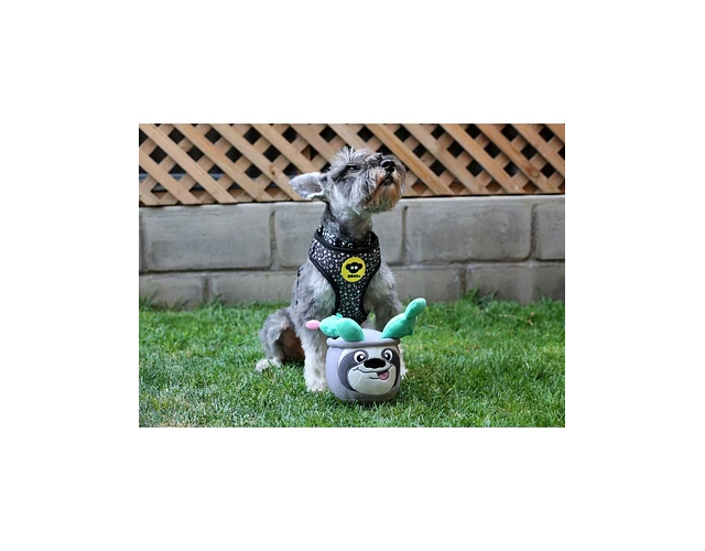 Juguete Peluche Perezoso para Perros