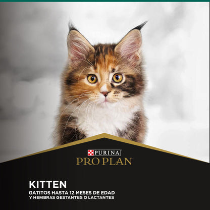 PROPLAN KITTEN 3 KG|Gatito