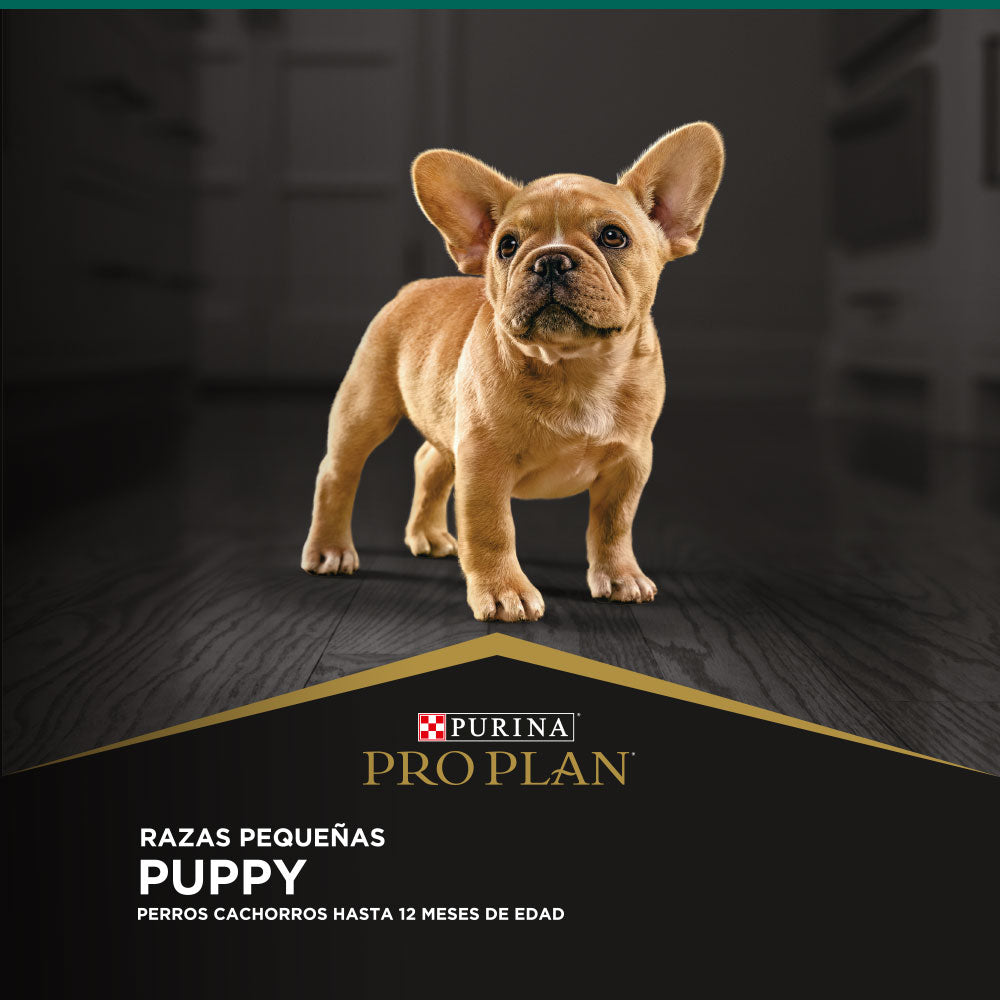 PRO PLAN Cachorro Razas Pequeñas 3 kg