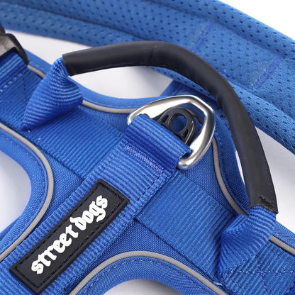 Arnés Aerosport para Perros - Street Dogs - Azul