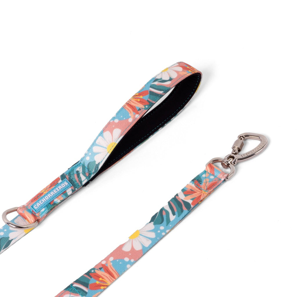 Correa Guia Floral Cachorreiros
