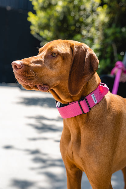 Collar Combat Pink 4 cm