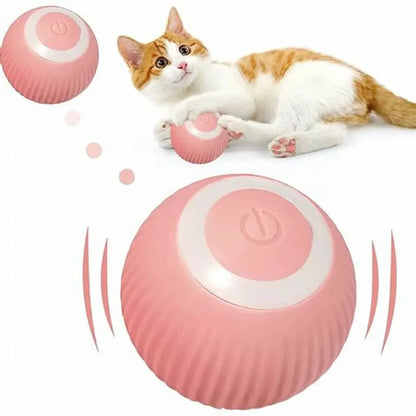 PELOTA_INTERACTIVA_GATO