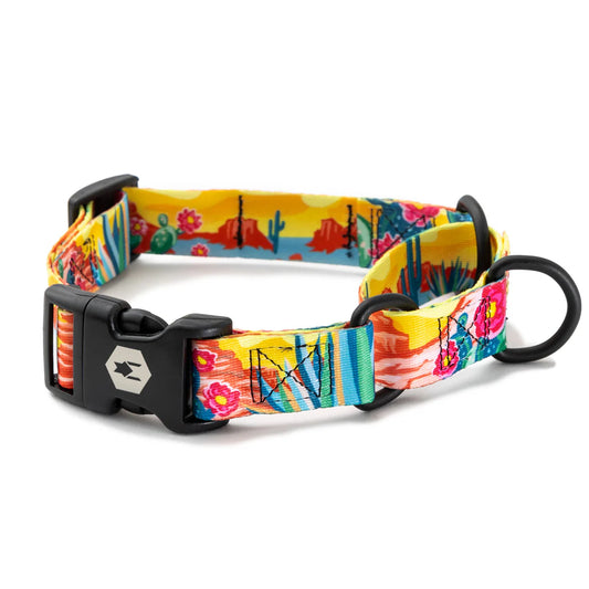 Collar Mantingale Mexico Talla M 35-45 cm