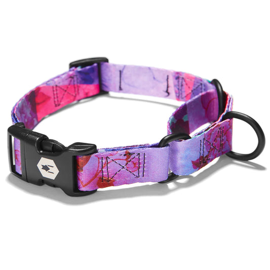 Collar Mantingale Daydream Talla M 35-45 cm