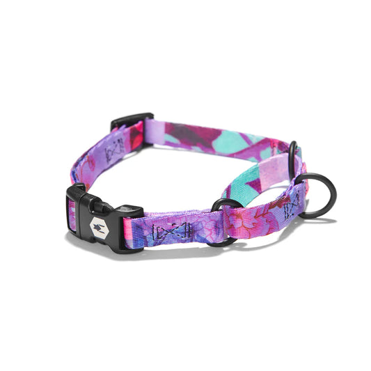 Collar Mantingale Daydream Talla M 35-45 cm