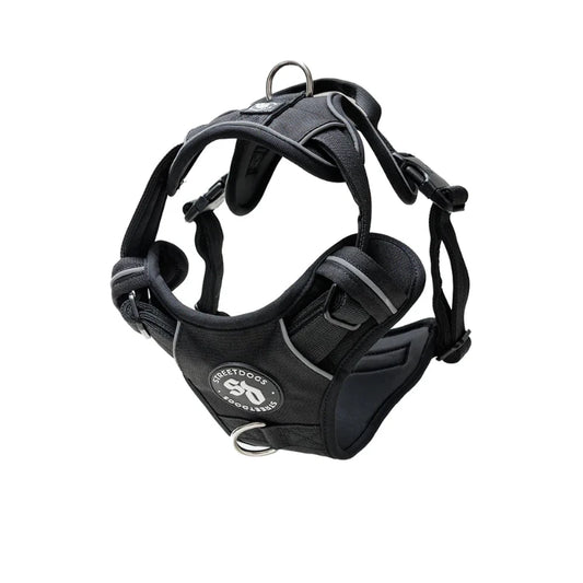 Arnés Antitirones Comfort para Perros | Acolchado, 2 Enganches + Mango Seguridad | Negro - Street Dogs