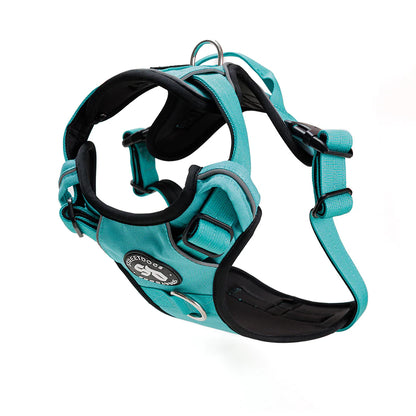 Arnés Comfort para Perros - StreetDogs - Turquesa