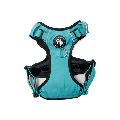 Arnés Comfort para Perros - StreetDogs - Turquesa