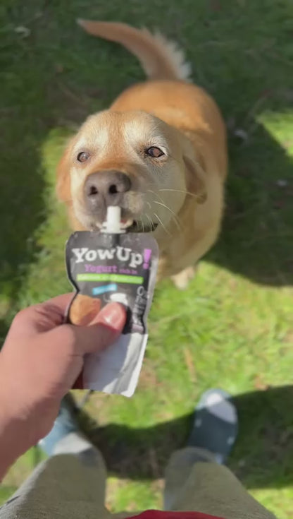 YowUp Yogurt Natural con Prebióticos Perro 115 GR